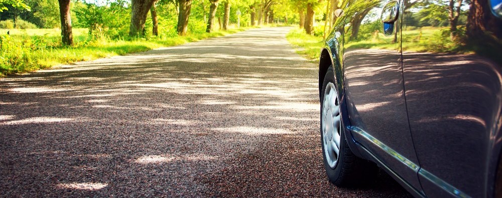 Put Your Trust in Our Team!